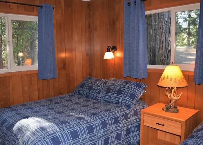 11B Sequoia House