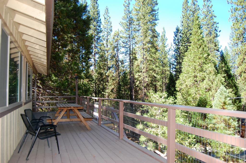 11b Sequoia House